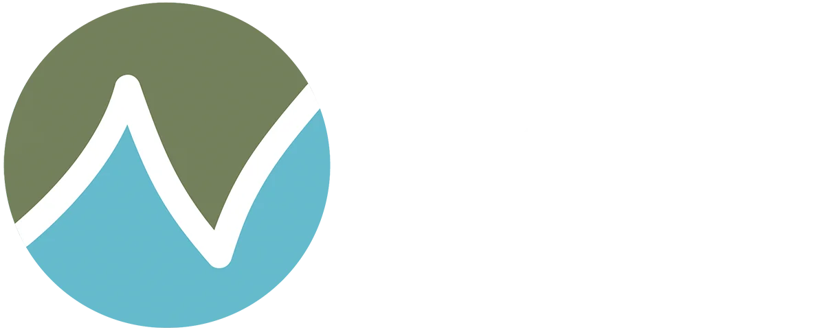 Financing Net Earth